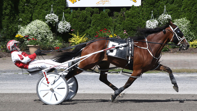 Blazing Home N winning at Tioga Downs