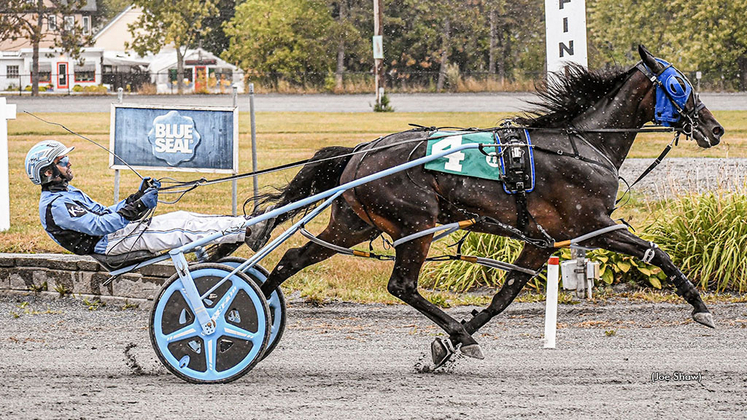 No Small Wonder winning at Bangor Raceway