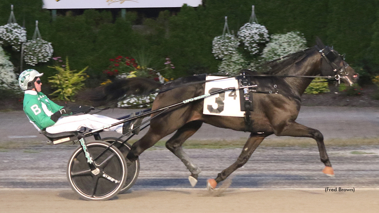 Ocean Storm winning at Tioga Downs