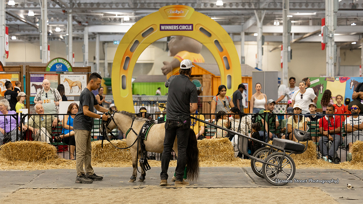 Standardbred Canada at the Canadian National Exhibition