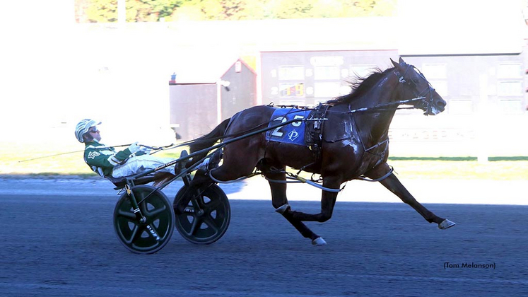 Bacchus Blue Chip winning at Plainridge Park