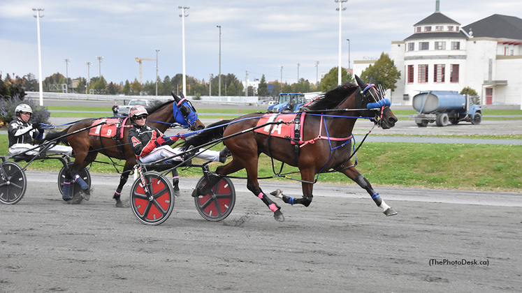 DM Kamille winning at Hippodrome 3R