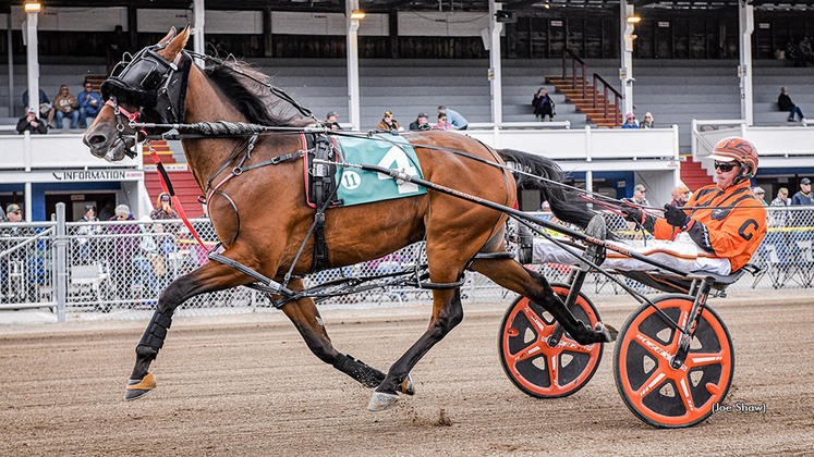 Daytoremember winning at Fryeburg Fair