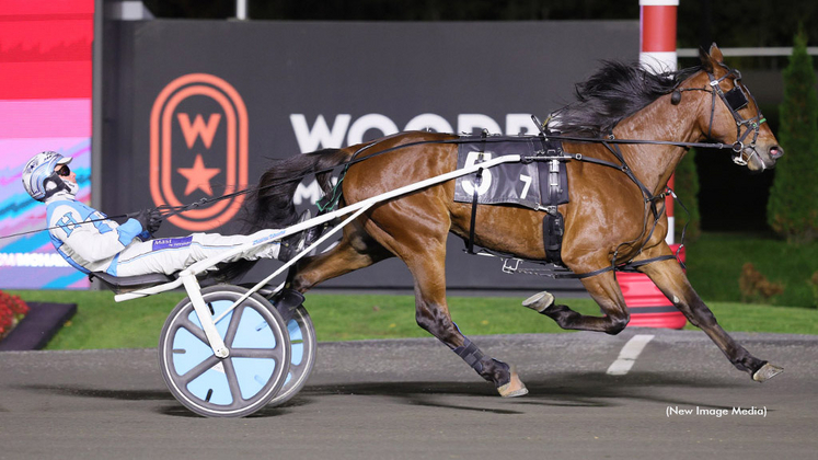 Erinwood Triton winning at Woodbine Mohawk Park