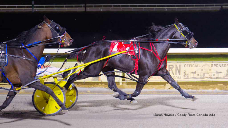 Poker Queen winning at Century Mile