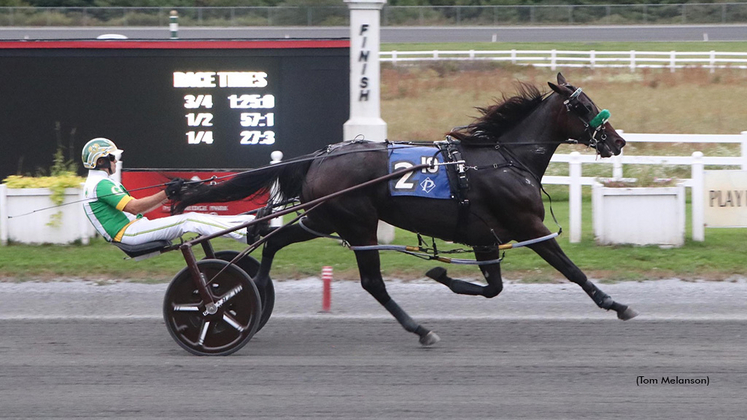 Surreal Spirit