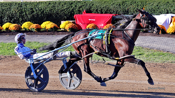 Touchedbythesea winning at Delaware County Fair