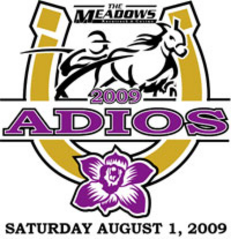 Adios2009.jpg