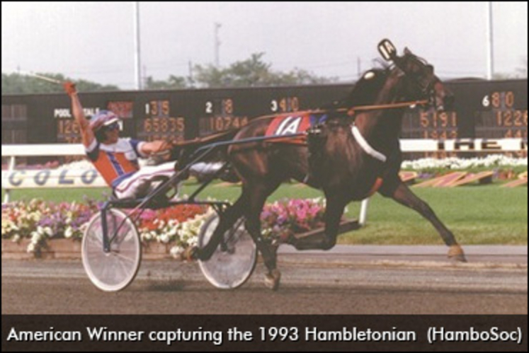 American-Winner-1993Hambo-370px.jpg