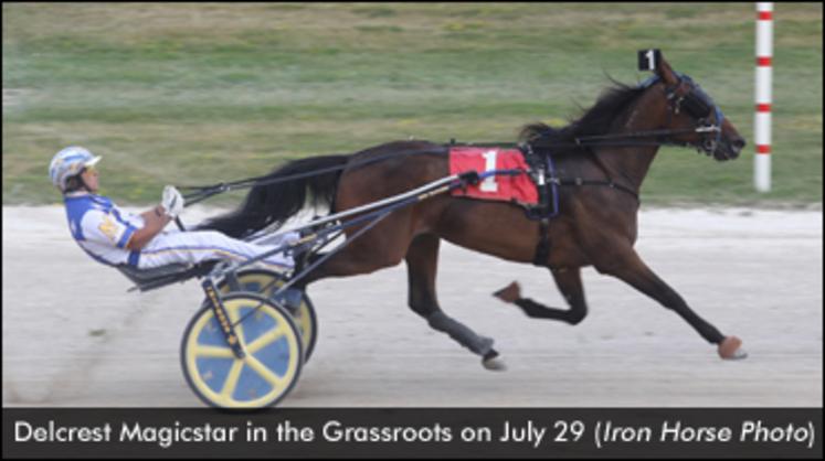 DelcrestMagicstar-Grassroots-072916-IronHorsePhoto-edit.jpg