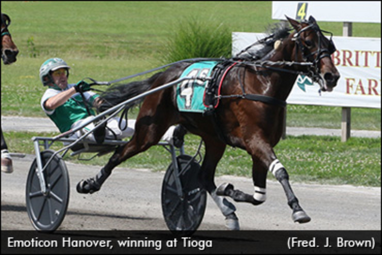 Emoticon-Hanover-Tioga-370.jpg