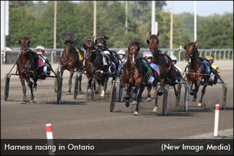 HarnessRacingInOntarioNIM.jpg