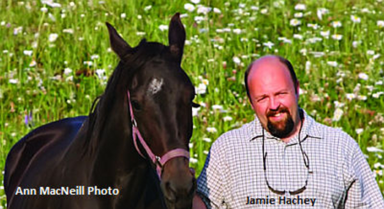 Jamie-Hachey-Horse-Racing-New-Brunswick1.jpg