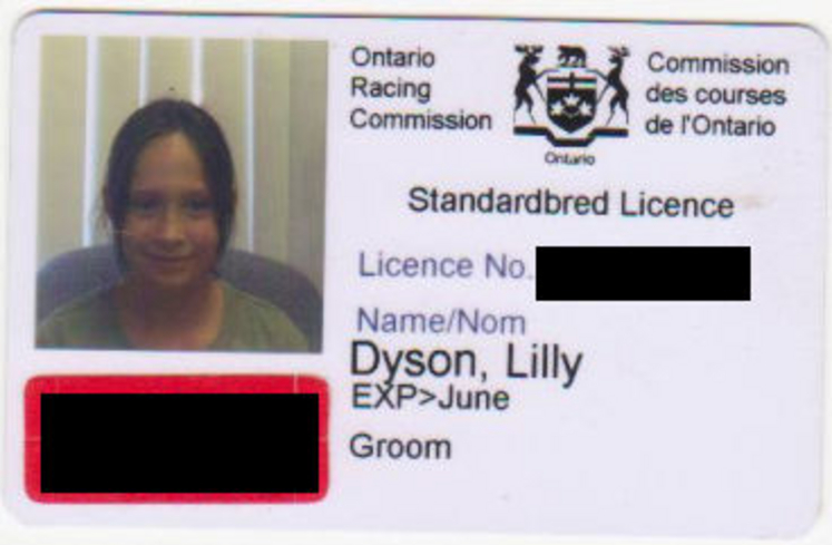 License2.jpg