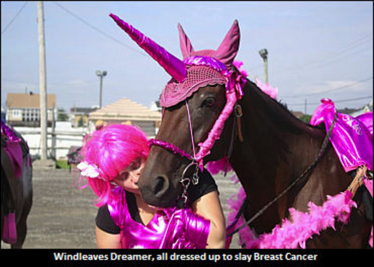 Pink-Unicorn.jpg