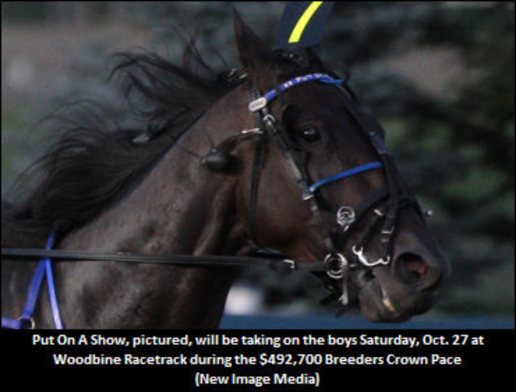 PutOnAShow--BreedersCrown--WoodbineRacetrack.jpg