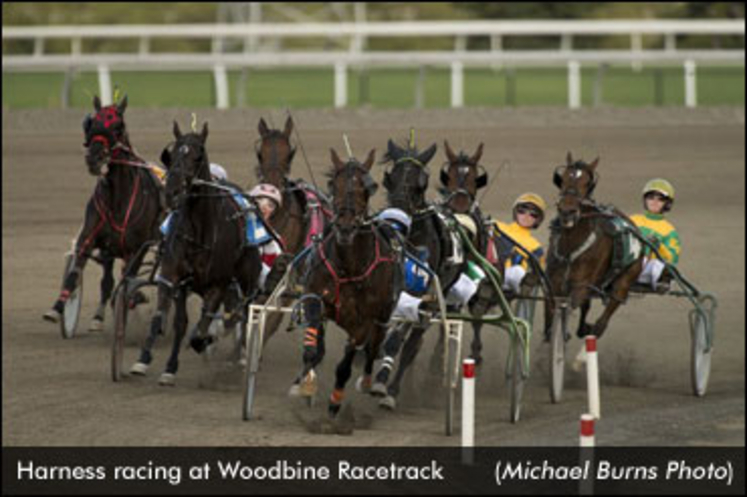 RacingWoodbine-MichaelBurnsPhoto-edit.jpg