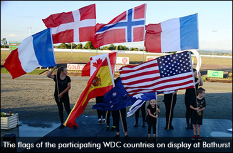WDC-flags-bathurst.jpg