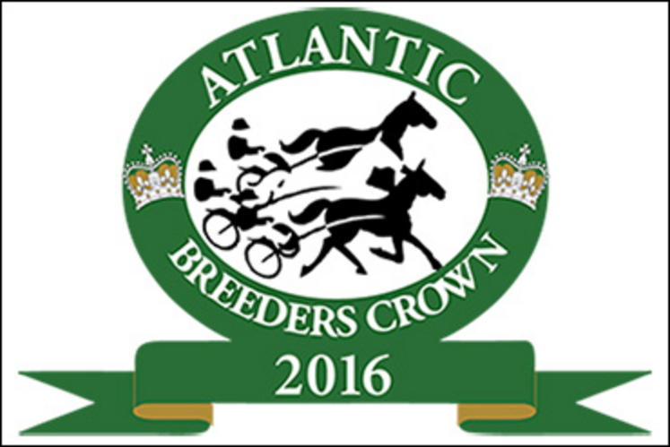 atlantic-breeders-crown-370.jpg