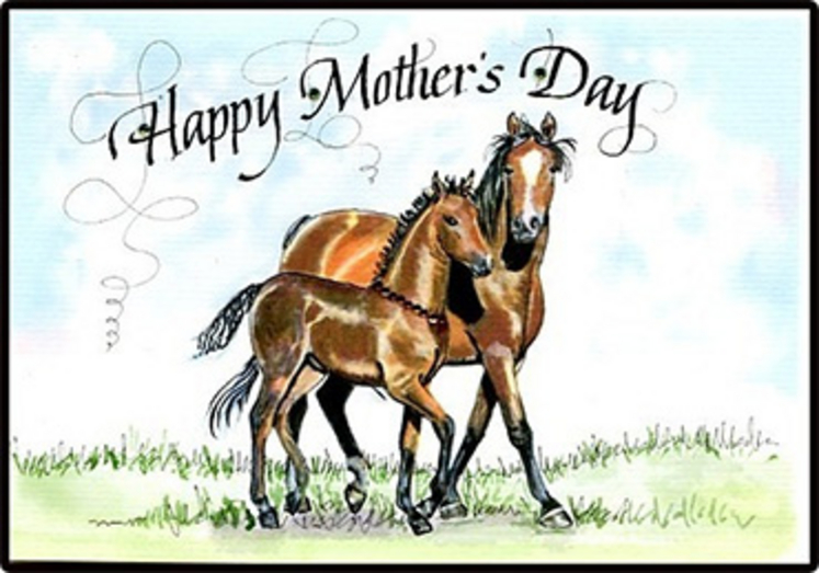 happy-mothers-day-horses.jpg