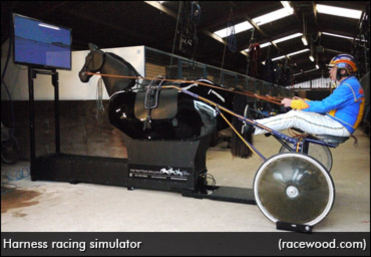 harness-racing-simulator.jpg