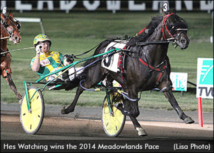 hes-watching-meadowlands-pace-final.jpg