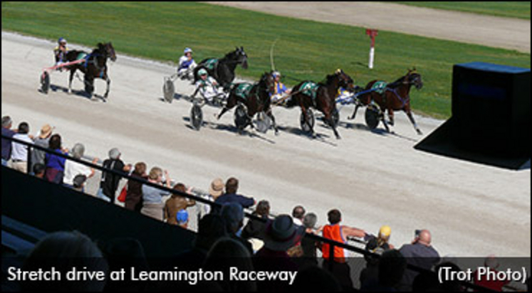 leamington-raceway-stretch-drive-370.jpg