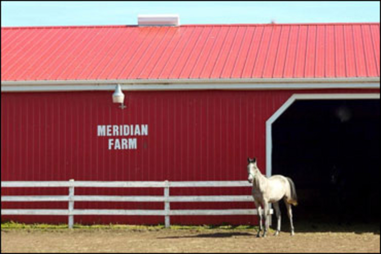meridian-farm.jpg