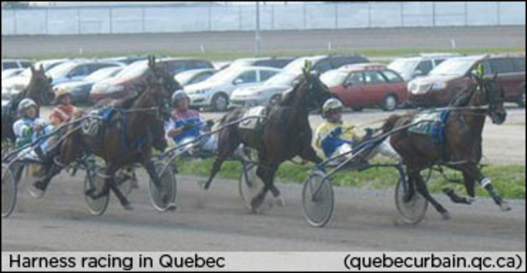 quebec-harness-racing.jpg