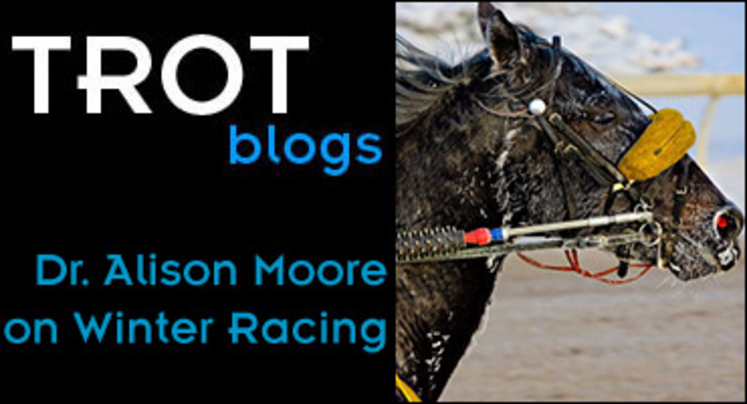 trot-blogs-winter-racing.jpg