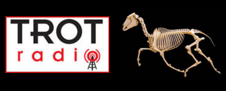 trot-radio-the-horse.jpg
