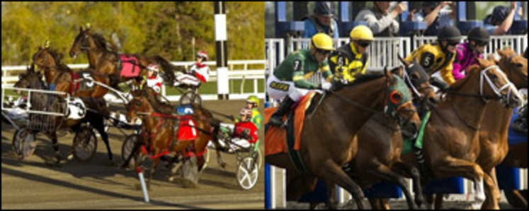 woodbine-both-breeds.jpg