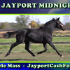 Jayport Midnight
