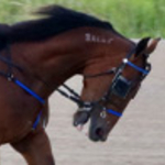 Prince Hal Hanover