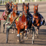 Fantasy Stable