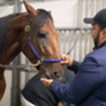 Azrael Blue Chip