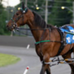 Redland Rocket Man