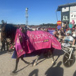 Elitlopp