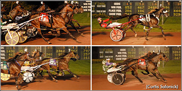 Close Calls In Sun Stakes Saturday