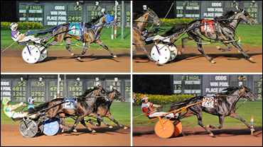 Stars Shine On Sun Stakes Saturday