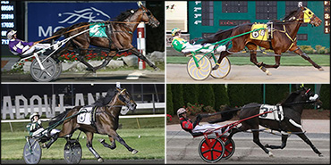 Stars Out For Sun Stakes Saturday