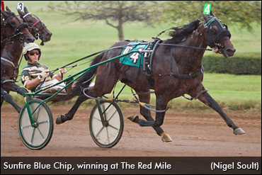 Sunfire Blue Chip Feels 'Born Again'
