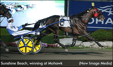 Local Owner Seeks Prix D'Ete Win