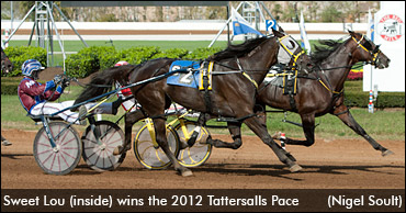 Fallout From Tattersalls Pace