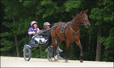 November's Heart Of Harness Racing Calendar Photographer