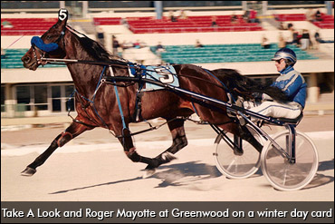 Winter Racing In Canada