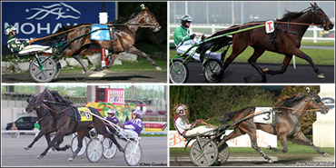 Maven Returns, Sophomores Sold