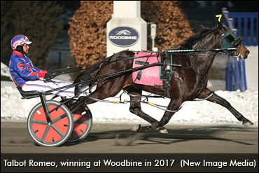 The Amazing Story Of Talbot Romeo