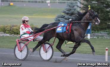 Talespinner Is The Talk Of The Town