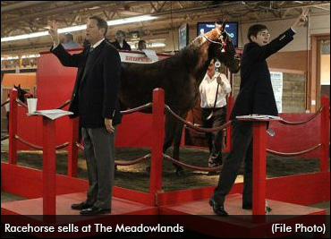 2017 Spring Mixed Sale Results